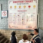 Emotion-Chart-in-India